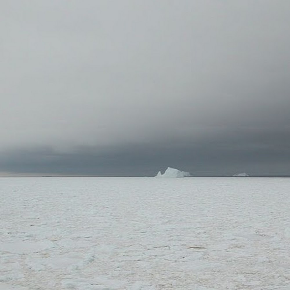 Meet your Posher, Junee